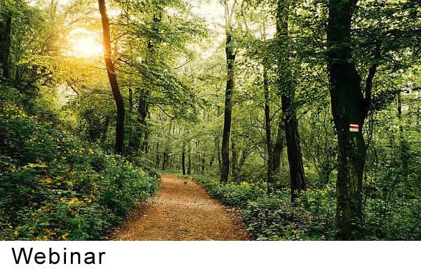 Camins-Públics-o-Privats?